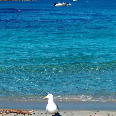 Studio 4P Vue Mer Calme Cap Esterel Saint-Raphaël Εξωτερικό φωτογραφία